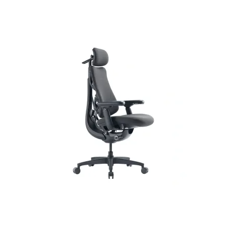 LiberNovo Omni GEN 48 cm Ergonomic Chair (Graphite)